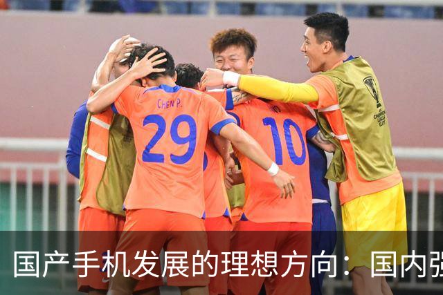 国产手机发展的理想方向：国内强制鸿蒙、出口保留安卓