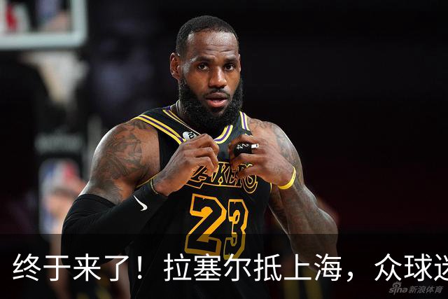 终于来了！拉塞尔抵上海，众球迷接机送上签名，落地后立马训练！